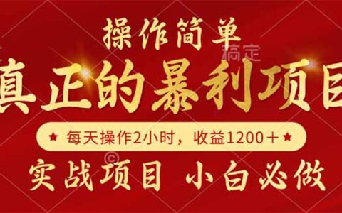 真正的暴L项目，操作简单，每天收益1200＋，自己做老板