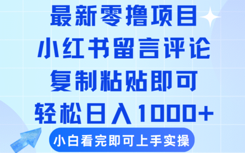 最新零撸小项目，小红书留言评论，复制粘贴即可赚钱，轻松日入1000+