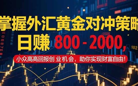 掌握外汇黄金对冲策略，日入 800 - 2000，小众高回报创业机会，助你实...