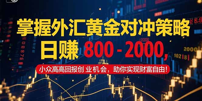 掌握外汇黄金对冲策略，日入 800 - 2000，小众高回报创业机会，助你实...