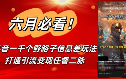 6月必看！抖音一千个野路子信息差玩法，打通引流变现任督二脉