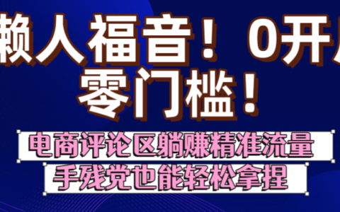 懒人福音！0开店、零门槛！电商评论区躺挣精准流量，手残党也能轻松拿捏