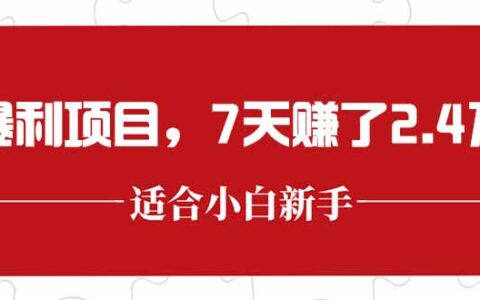 最新暴L项目，每单收益轻松在300以上，7天赚了2.4万