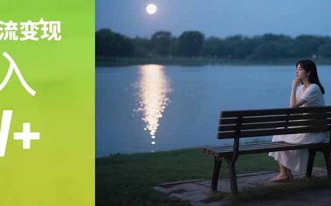 情感粉引流变现实操课：单月变现6w+，情感粉引流变现实操课