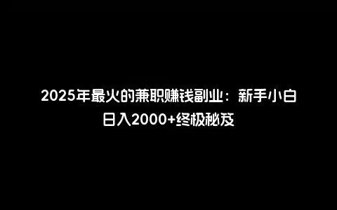 2025年最火的兼职赚钱副业：新手小白日入2000+终极秘笈