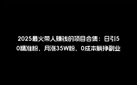2025最火带人赚钱的项目合集：日引50精准粉、月涨35W粉、0成本躺挣副业