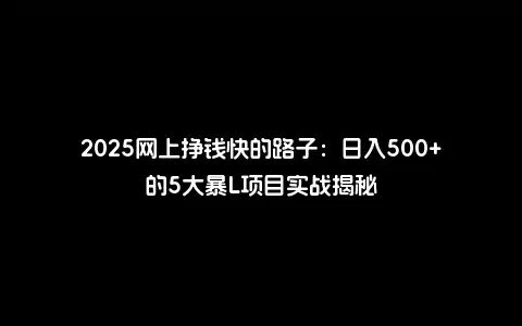 2025网上挣钱快的路子：日入500+的5大暴L项目实战揭秘