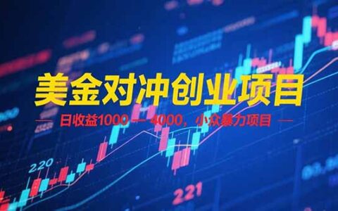 美金对冲创业项目，日收益 1000 - 4000，小众爆栗项目