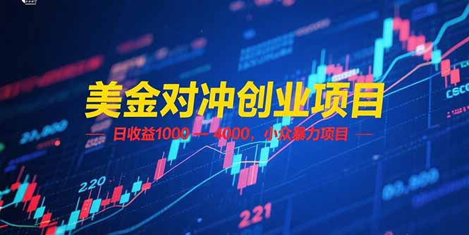 美金对冲创业项目，日收益 1000 - 4000，小众爆栗项目