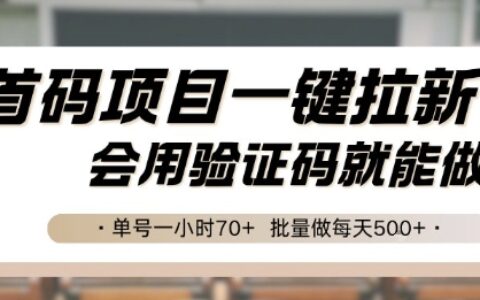 首码项目一键拉新，会用验证码就能做 单号一小时70+，批量做每天5张