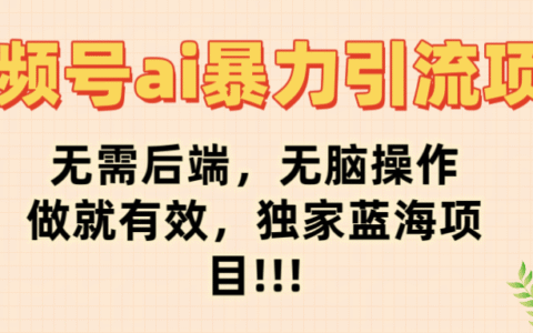 视频号ai爆栗引流项目，无需后端，无脑操作，做就有效，独家蓝海项目!!!