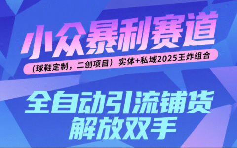 楠—小众暴L赛道（球鞋定制，二创项目）实体+私域2025王炸组合