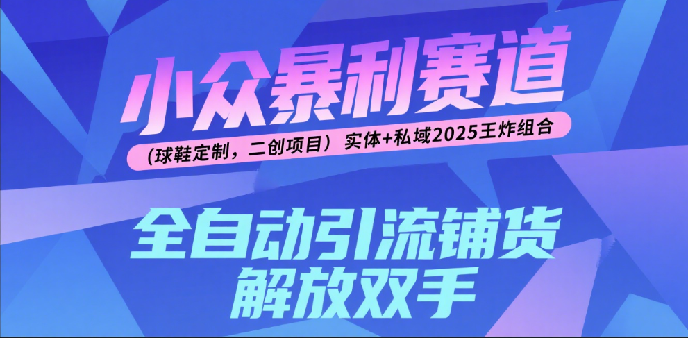楠—小众暴L赛道（球鞋定制，二创项目）实体+私域2025王炸组合
