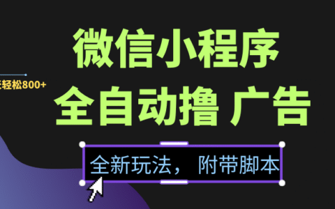 微信小程序挂G撸广告，全新玩法，新手一天轻松800+【附带脚本】