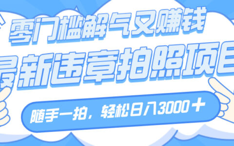 解气又赚钱的项目，随手一拍，轻松收入3000+，最新违章拍照赚钱