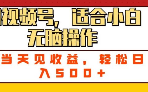 ai视频号，适合小白无脑操作，当天见收益，轻松日入500+