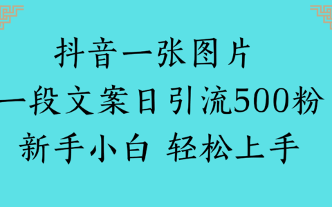 抖音一张图片 一段文案日引流500粉新手小白 轻松上手