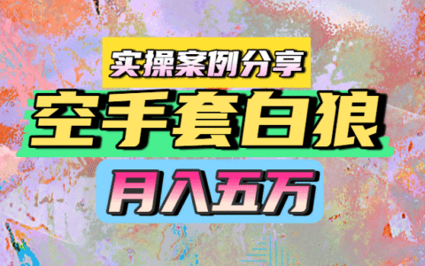 空手套白狼，月入五万，实操案例分享