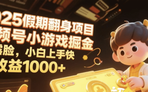 2025假期翻身项目，视频号小游戏掘金，不露脸，小白上手快，日收益1000+