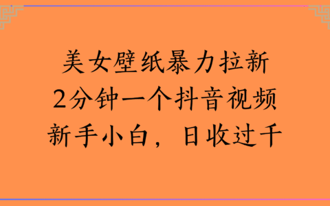 美女壁纸爆栗拉新2分钟一个抖音视频新手小白，日收过千