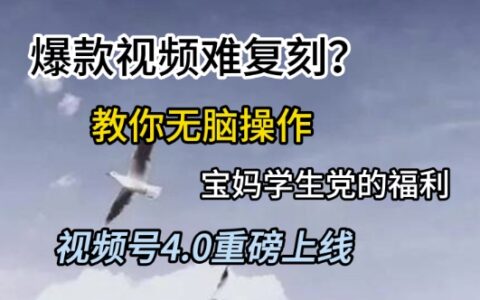视频号4.0重磅上线，爆款视频难复刻？教你无脑操作宝妈学生党的福利