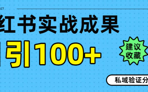 实战成果！小红书图文引流日引100+私域流量经验分享