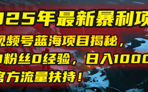 2025年最新暴L项目：视频号蓝海项目揭秘，0粉丝0经验，日入1000+，官方流量扶持！