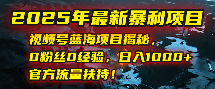 2025年最新暴L项目：视频号蓝海项目揭秘，0粉丝0经验，日入1000+，官方流量扶持！