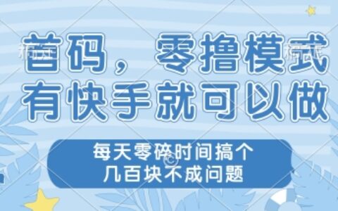 首码零撸项目，有快手就可以做，每天业务时间搞个几张不是问题