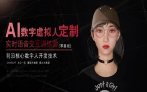AI数字虚拟人定制，实时语音交互训练营（零基础），前沿核心数字人开发技术
