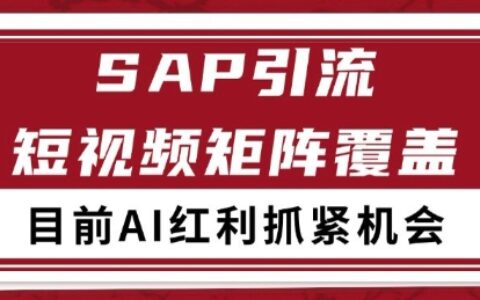 小红书某音sap赛道引流获客 自热矩阵日引200+