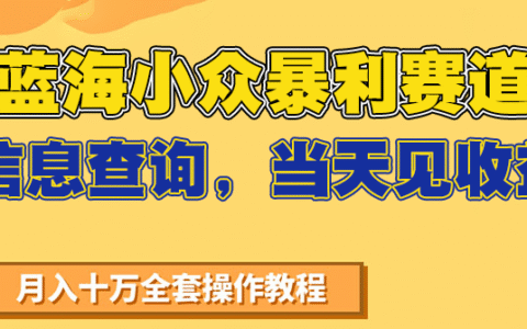 蓝海小众暴L赛道，信息查询，当天见收益，不讲玄学，7天搞了2万+