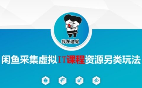 闲鱼采集虚拟IT课程资源另类玩法，干货满满