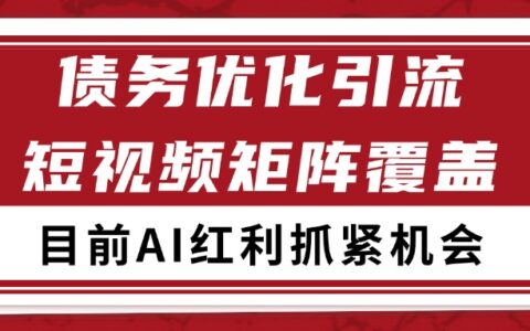 小红书某音债务优化赛道引流获客 自热矩阵日引200+