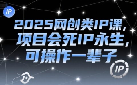 2025网创类IP课，项目会死IP永生，可操作一辈子