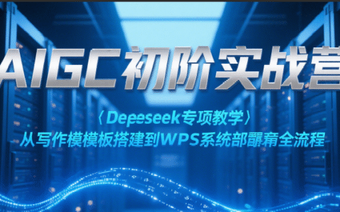 AIGC初阶实战营：Deepseek专项教学，从写作模板搭建到WPS系统部署全流程