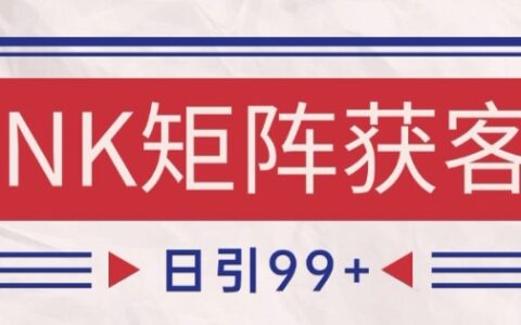 小红书某音NK赛道引流获客 自热矩阵日引200+