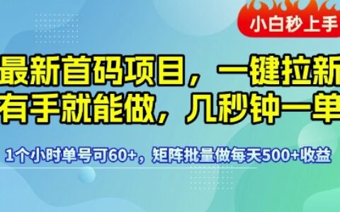 最新首码项目，一键拉新有手就能做，几秒钟一单，1个小时单号可60+，矩阵批量做每天5张
