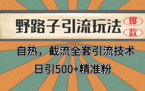 2024首发野路子引流玩法截流自热全平台打法，全自动引流【日引2000+精准客户】