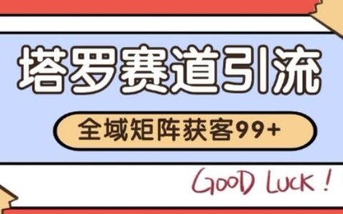小红书某音塔罗赛道引流获客 自热矩阵日引200+