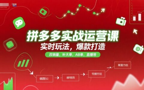 拼多多实战运营课，实时玩法，爆款打造，改销量，补大单，AB单，直播等（更新2025月）