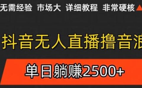 抖音无人直播6.0 简单无脑可矩阵 每天两小时轻松躺挣500+
