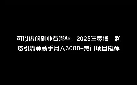 可以做的副业有哪些：2025年零撸、私域引流等新手月入3000+热门项目推荐