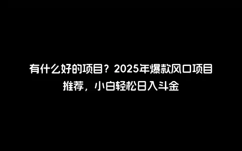 有什么好的项目？2025年爆款风口项目推荐，小白轻松日入斗金