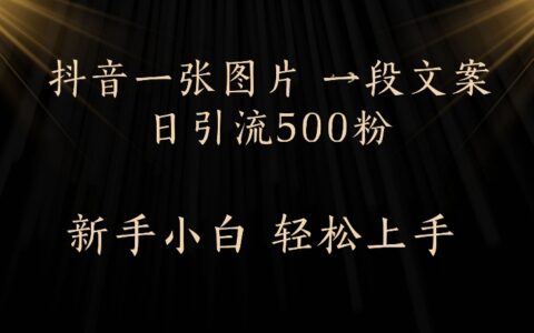 抖音一张图片，一段文案日引流500粉，新手小白 轻松上手
