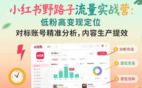 小红书野路子流量实战营：低粉高变现定位 对标账号精准分析 内容生产提效