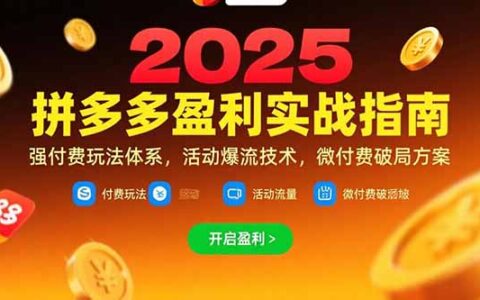 拼多多盈利实战指南，强付费玩法，活动爆流技术，微付费破局方案(更新7月)