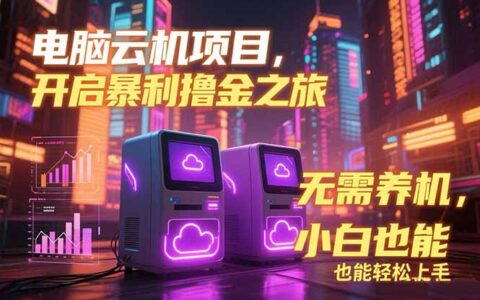 电脑云机项目 爆栗撸金玩法，不需要养机 配置没有要求 单机100个窗口一...
