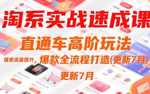 淘系实战速成课，直通车高阶玩法，搜索流量提升，爆款全流程打造(更新7月)