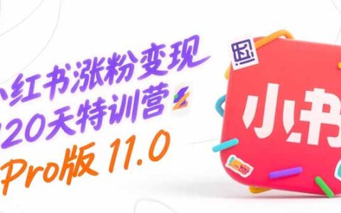 小红书涨粉变现120天特训营Pro版11.0：从0到1掌握平台运营,内容制作和变现